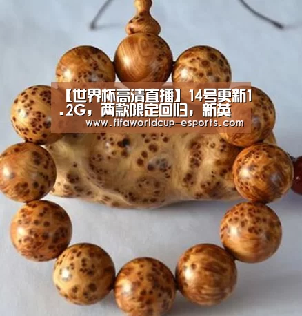 世界杯最新地址