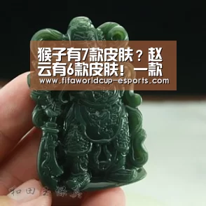 猴子有7款皮肤?赵云有6款皮肤!一款都没有的他最受职业选手喜欢:世界杯电竞竞猜(图3) 世界杯高清直播