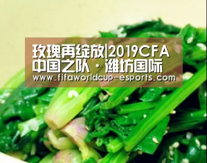 世界杯高清直播
