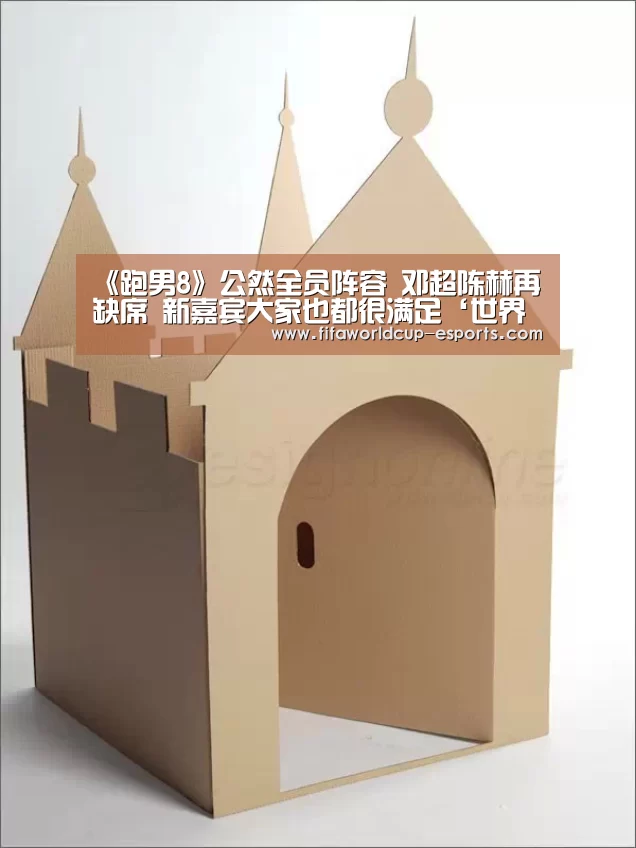 世界杯体育平台