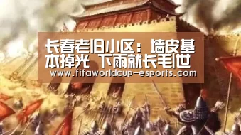 长春老旧小区:墙皮基本掉光 下雨就长毛|世界杯最新地址(图3) 世界杯最新地址